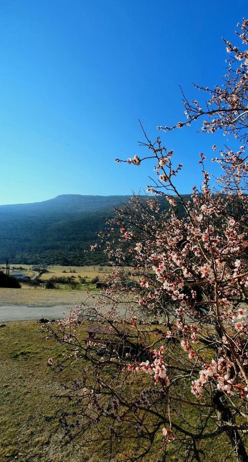 Auberge Collective Cozy&Family La Palud-sur-Verdon 외부 사진